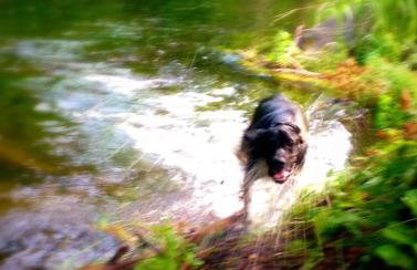 Dom Mossa - Photo 51