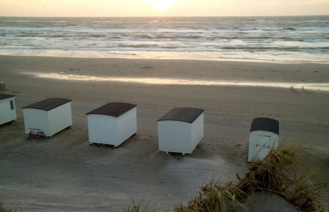 Danland Blokhus Park - Foto 72