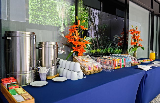 Las Suites Campos Eliseos - Foto 80