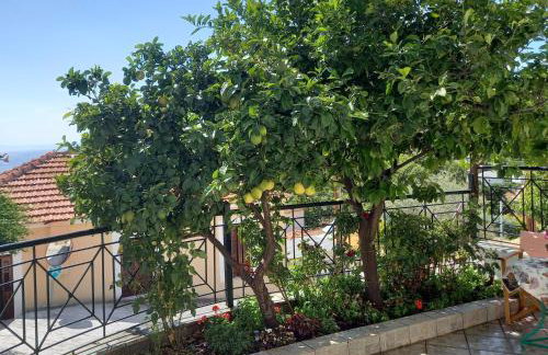 ΠΗΛΙΟ- ΤΟ ΕΞΟΧΙΚΟ ΤΗΣ ΑΝΝΑΣ- ΑΦΗΣΣΟΣ - Photo 22