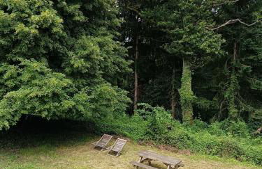 Gîte au milieu des vignes - Foto 9