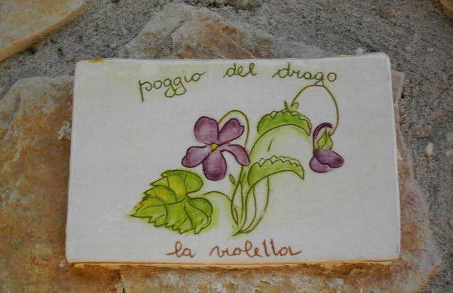 Agriturismo Poggio del Drago - Photo 6