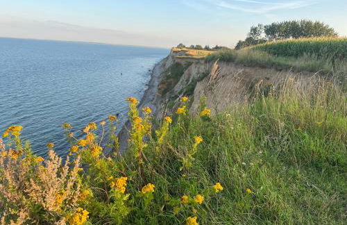 SommerLund - macht Laune auf Meer - Ruhige und sonnige Ferienwohnung mit Terrasse und Garten nahe Strand und Ostsee - Foto 42