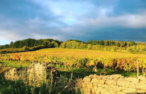 La Maison du Clos du Roi - Foto 26