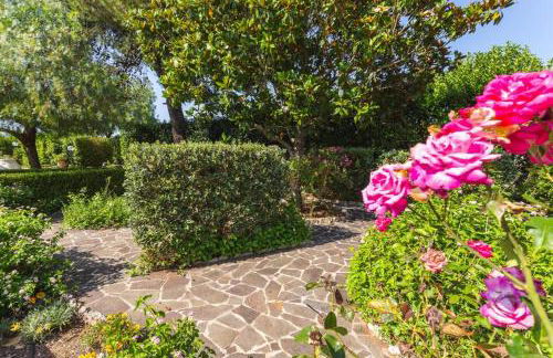 Midori-an 緑庵 - The Garden - Foto 26