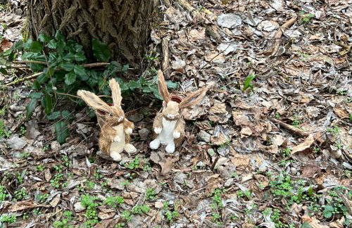 Ferienhaus Fuxbau - Foto 53