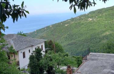 Orizontas Pilio Villa - Photo 16