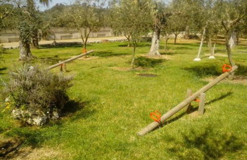 B&B di Angela Scotellaro - Foto 26