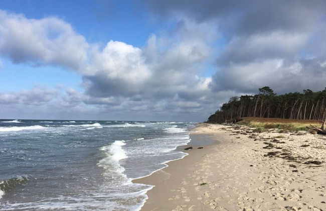 Baltic Sea Dromelhus - Foto 25