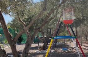 Oasis Pool in the Desert BBQ and Garden - Foto 10