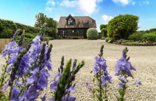 Belview Cottage - Photo 30