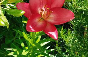 Sea beach relax - Foto 39