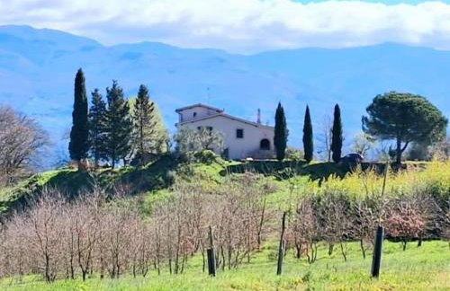 Felciolina - Medieval Country House - Foto 24