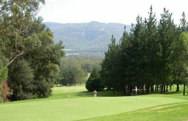 Greenwood Cabin in Kangaroo Valley - Foto 6