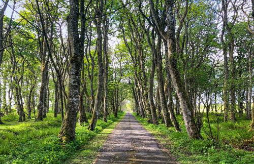 The Gate Lodge - Foto 14