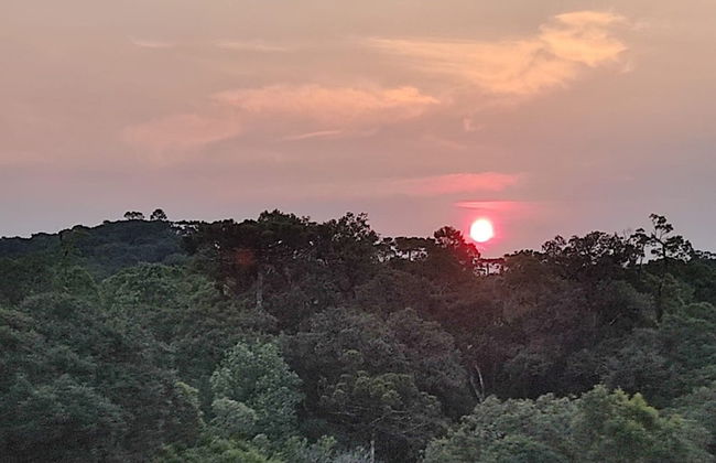 Recanto Vista Alegre - Rancho Queimado - Photo 40