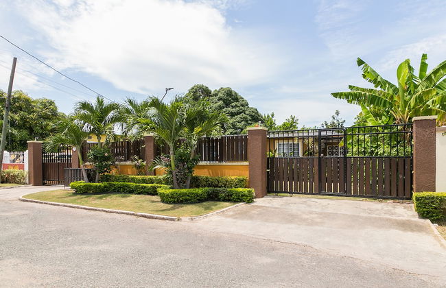 Botanic Bliss Living in Kingston - Photo 35