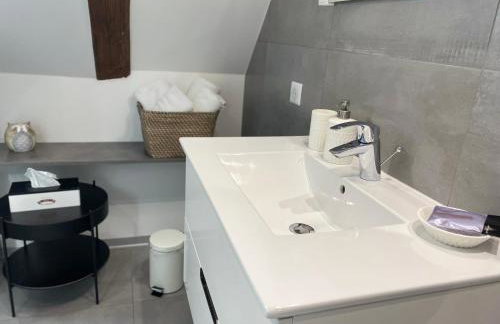 Les Rives des Habsbourg - Foto 60