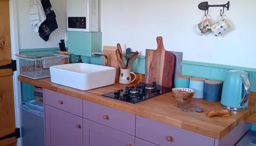 stayinhartland Quincecote shepherds hut - Foto 4