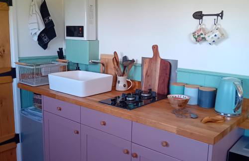 stayinhartland Quincecote shepherds hut - Foto 4