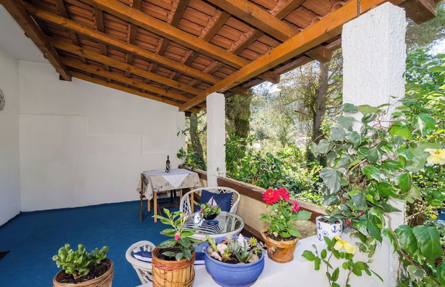 Apartments Vera - Foto 15