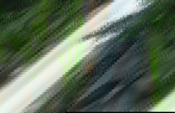 Apartamento Rio Celeste Dreams - Foto 1