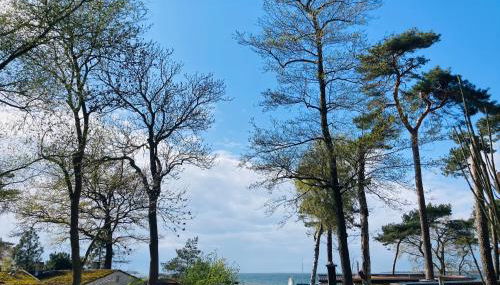 Ostsee-Gutshaus Am Salzhaff Pepelow nähe Rerik- am Meer residieren! - Foto 2