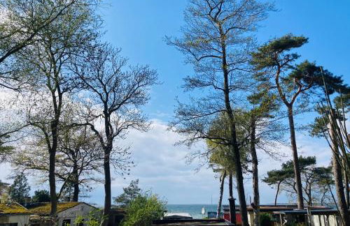 Ostsee-Gutshaus Am Salzhaff Pepelow nähe Rerik- am Meer residieren! - Foto 2