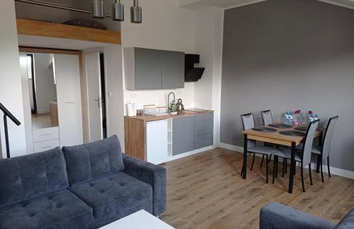 Apartamenty Kasztanowa Zator - Foto 60