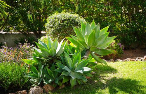 Casa Jandia - Foto 12