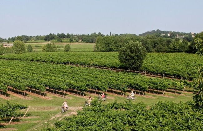 Agriturismo San Leone - Photo 40