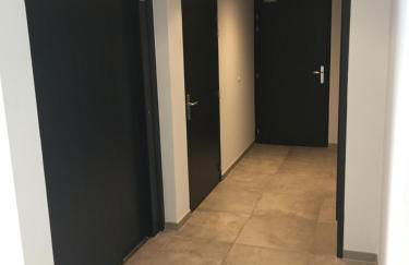 Le Riesling Colmar centre Charmant appartement avec terrasse et parking gratuit - Foto 39