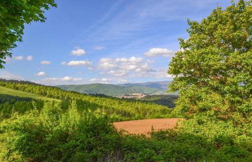 Il Moro-Gemme Del Casentino - Foto 38