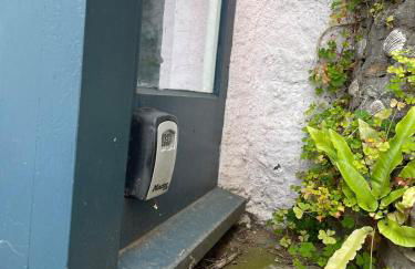 Buckley Cottage, Batson Salcombe - Foto 17