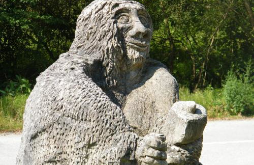 Domus Antiqua - Foto 44