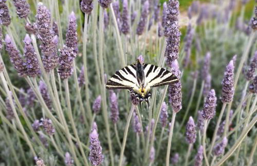 Comfortable residence with unique views - Foto 35