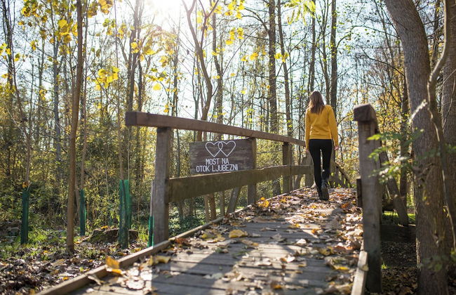Natural Chalet Konopljina Iza - Foto 11