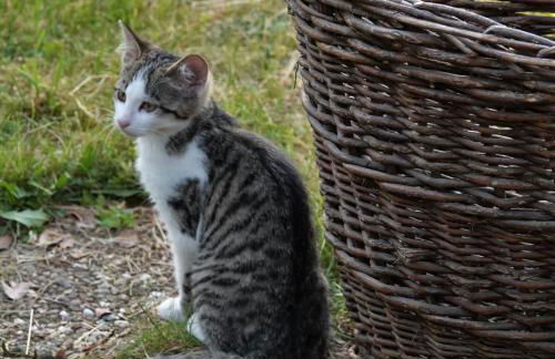 El Refugio GD - Foto 22