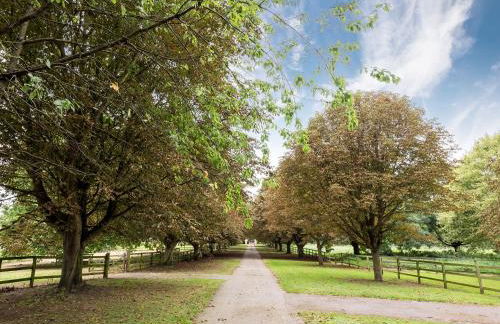 Northolme Hall - Photo 46