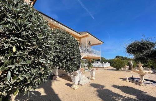 La casa de mamá - Foto 9