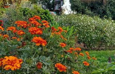 Venetton Garden House Corfu - Photo 29