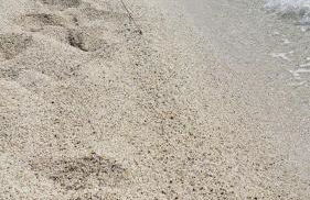 Appartamento La Vecchia Ancora Casa Vacanza - Photo 8