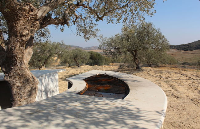 Villa in the Mountains Hammamet - Foto 42