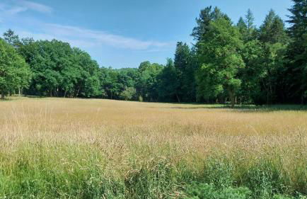 Gästehaus Cube am Forsthaus - Foto 16