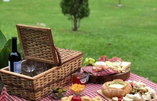 Sítio Vida - Photo 26