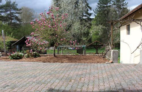 Fewo in Weierbach bei Idar-Oberstein - Foto 37