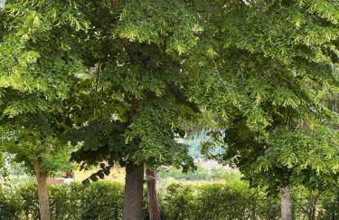 Agriturismo Cupello - Foto 72