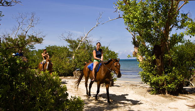 Chukka Ocean Outpost Reiten & Schwimmen und Mountain to Sea ATV Safari - Foto 4