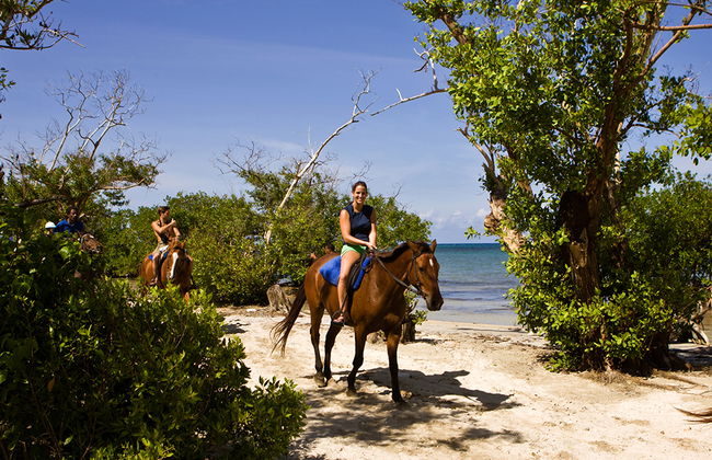 Chukka Ocean Outpost Reiten & Schwimmen und Mountain to Sea ATV Safari - Foto 4