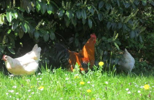 Landhof Zitzler - Foto 14